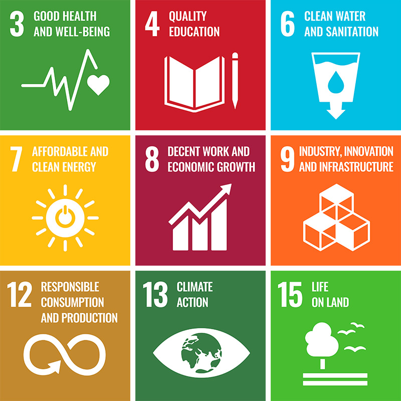 Sustainable Development Goals (SDGs) of the UN 2030 Agenda