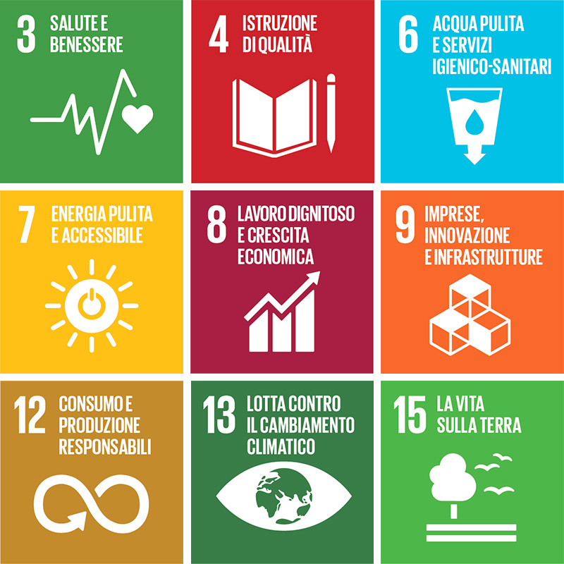Obiettivi dell’Agenda 2030 dell’ONU per lo Sviluppo Sostenibile (SDGs)