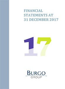The Group's 2017 Financial Statements