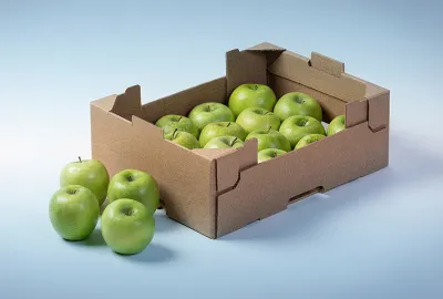 Burgo Containerboard: una scelta di campo a favore dell'economia circolare