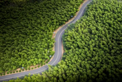 Sustainable Sourcing and Logistics