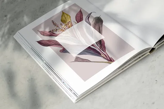 EVO Coated: the new fully coated paper developed in partnership with HP
