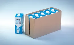 BCB Frost - Carta avana resistente in ambienti umidi